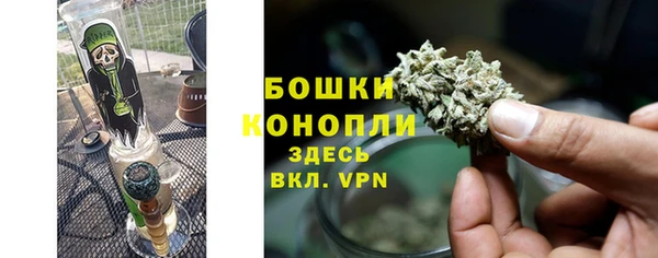 ГАЛЛЮЦИНОГЕННЫЕ ГРИБЫ Беломорск