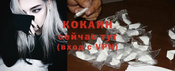трава Белокуриха