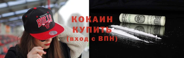 трава Белокуриха