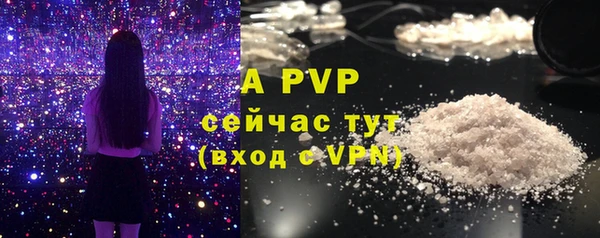 ГАЛЛЮЦИНОГЕННЫЕ ГРИБЫ Беломорск