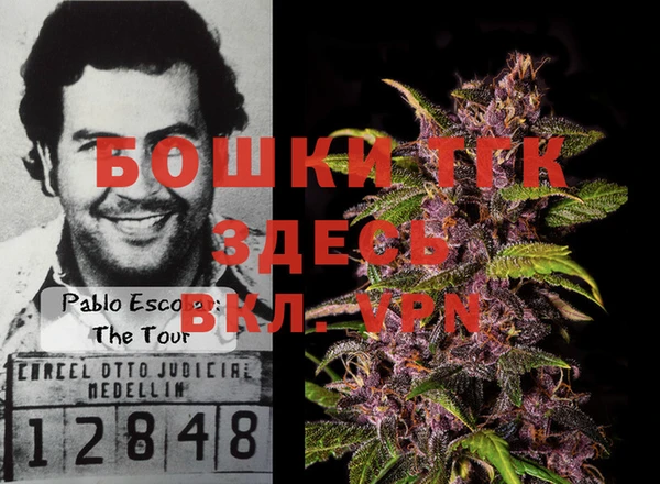 трава Белокуриха