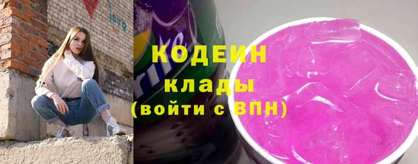 трава Белокуриха
