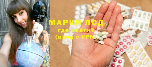 ГАЛЛЮЦИНОГЕННЫЕ ГРИБЫ Беломорск